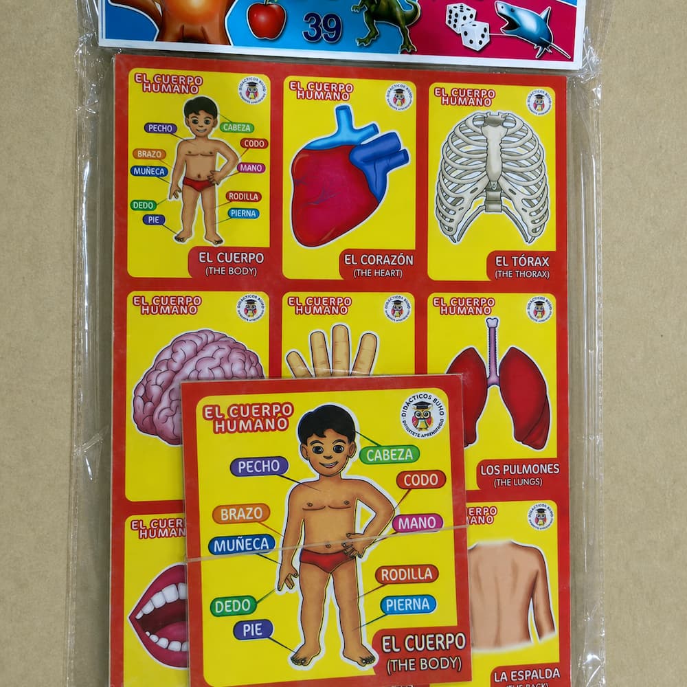 Body Parts Spanish Bingo Loteria