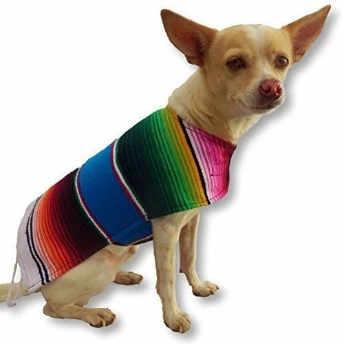 Serape Pet Clothes