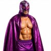 Adult Wrestling Capes