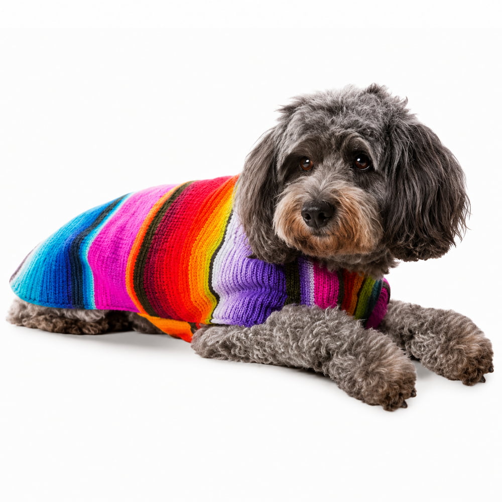 Alternative view of Serape Pet Clothes