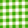 Mexican Oil Cloth